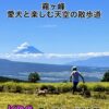 Thumbnail of new posts 177