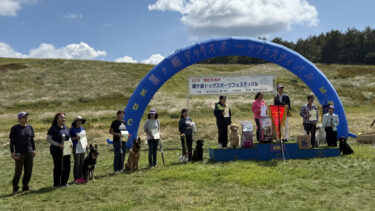 Thumbnail of post image 037