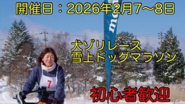 Thumbnail of post image 065