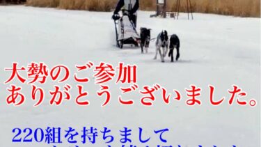 Thumbnail of post image 120